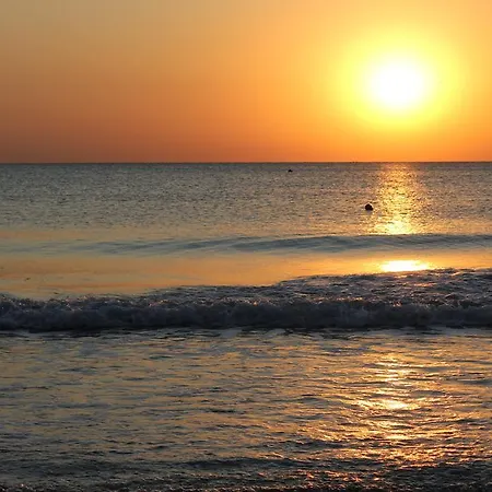 Daire Parus 4 Ahyolu